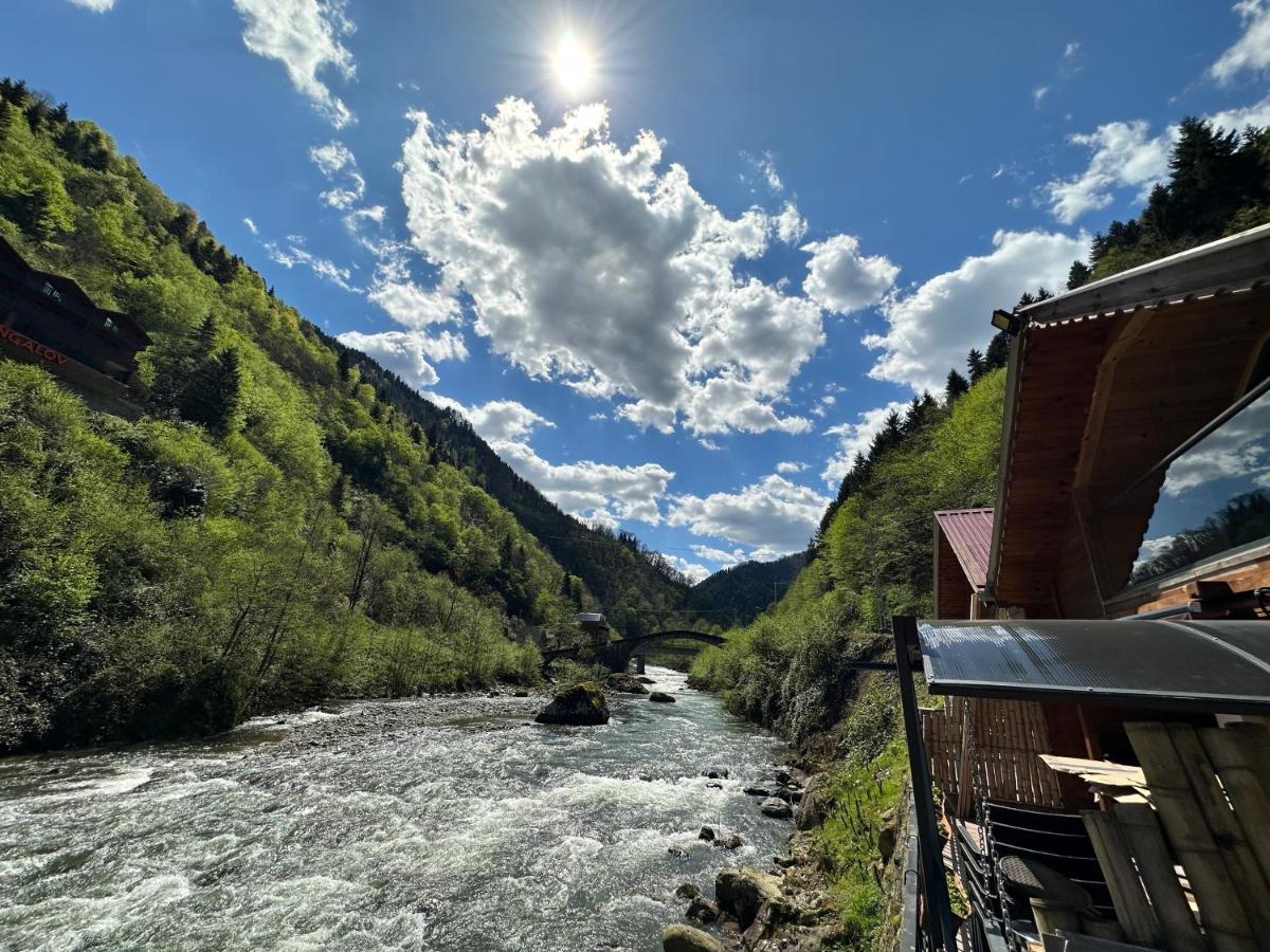 Tuva Villa Bungalov Çamlıhemşin Eksteriør billede